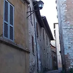 Primavera Mini