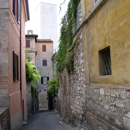 Primavera Mini 호텔