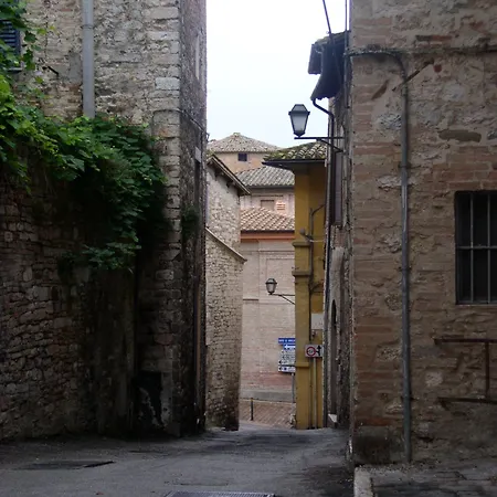 Primavera Mini 호텔 3*