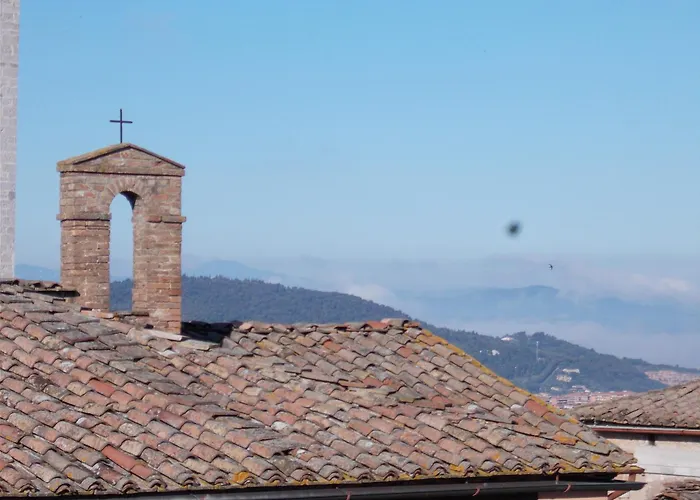 فندق Primavera Mini بيرودجا