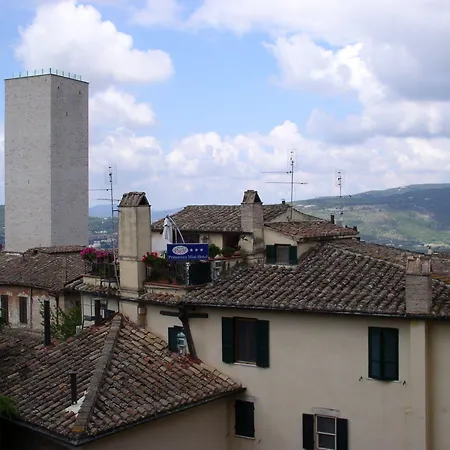Primavera Mini