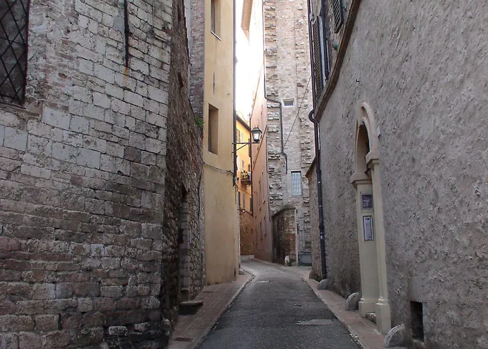 فندق Primavera Mini بيرودجا